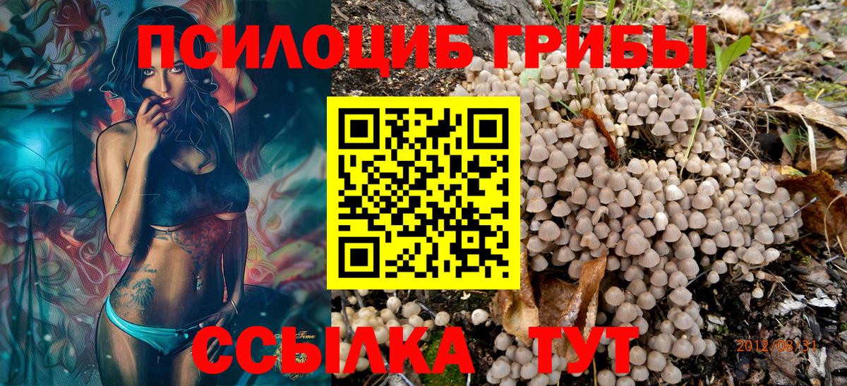 Псилоцибиновые грибы ЛСД  Вход с VPN  Сергиев Посад  Псилоцибиновые грибы ЛСД 